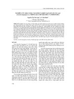 Nghiên cứu khả năng tái sinh và biến nạp gen ở cây lạc (Arachis hypogaea L.) thông qua mô sẹo hóa và phôi Soma