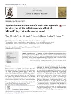 Application and evaluation of a molecular approach for detection of the schistosomicidal effect of Mirazid (myrrh) in the murine model
