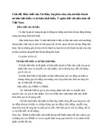 Chủ đề: Bản chất của Tư Bản, Sự phân chia của tư bản thành tư bản bất biến và tư bản khả biến. Ý nghĩa đối với nền kinh tế Việt Nam