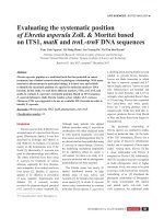 Evaluating the systematic position of Ehretia asperula Zoll. & Moritzi based on ITS1, matK and trnL-trnF DNA sequences
