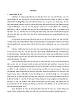 Báo cáo thực tập tốt nghiệp: Văn hóa truyền thống của người Ê-đê ở huyện Krông Năng tỉnh Đăk Lăk