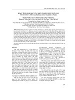 Hoạt tính sinh học của một số hợp chất phân lập từ gỗ cây cẩm lai (Dalbergia oliveri Gamble ex Prain)