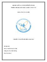 Bài tập nhóm môn Lý thuyết công tác xã hội: Lý thuyết hệ thống sinh thái