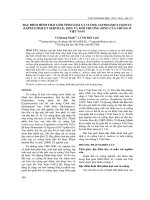 Đặc điểm hình thái giới tính loài cà cuống Lethocerus Indicus (Lepeletier Et Serville, 1825) và môi trường sống của chúng ở Việt Nam