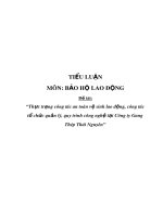 Tiểu luận Bảo hộ lao động: Thực trạng công tác an toàn vệ sinh lao động, công tác tổ chức quản lý, quy trình công nghệ tại Công ty Gang Thép Thái Nguyên