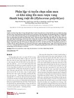 Phân lập và tuyển chọn nấm men có khả năng lên men rượu vang thanh long ruột đỏ (Hylocereus polyrhizus)