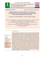 Phylogenetic diversity analysis of Ralstonia Solanacearum, Pseudomonas Fluorescens and Trichoderma Asperellum isolated from tomato Rhizosphere soil in Karnataka