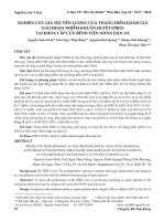 Nghiên cứu giá trị tiên lượng của thang điểm đánh giá giai đoạn nhiễm khuẩn huyết (PIRO) tại khoa cấp cứu Bệnh viện Nhân dân 115