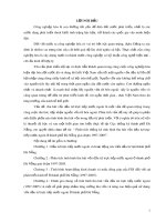 Luận văn tốt nghiệp: Phân tích thống kê tình hình thu hút vốn đầu tư trực tiếp nước ngoài ở thành phố Đà Nẵng giai đoạn 1997-2005