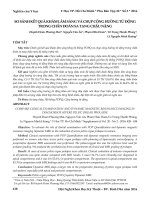 So sánh kết quả khám lâm sàng và chụp cộng hưởng từ động trong chẩn đoán sa tạng chậu nặng