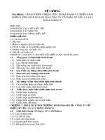 Đề tài: Hoàn thiện chiến lược kinh doanh và triển khai chiến lược kinh doanh của công ty Cổ phần Tư vấn và Xây dựng Indeco