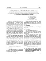 Ảnh hưởng của các điều kiện lên men lên khả năng sinh chất kháng sinh kháng nấm Fusarium Oxysporum của hai chủng xạ khuẩn Stretomyces Cyanneogriceus HD54 và Stretomyces Hygroscopicus HD58