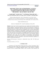 Identification and antimicrobial activity of actinomycetes strains isolated from marine samples in the coastal area of Thanh Hoa – Quang Binh – Quang Tri