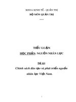 Tiểu luận khoa Kinh tế - Quản trị: Chính sách đào tạo và phát triển nguồn nhân lực Việt Nam
