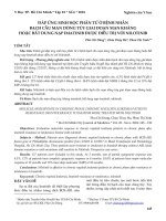 Đáp ứng sinh học phân tử ở bệnh nhân bạch cầu mạn dòng tủy giai đoạn mạn kháng hoặc bất dung nạp Imatinib được điều trị với Nilotinib