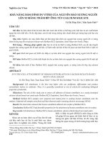 Khả năng bám dính in vitro của nguyên bào xương người lên xi măng trám bít ống tủy calcium silicate