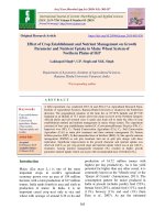 Effect of crop establishment and nutrient management on growth parameter and nutrient uptake in maize wheat system of northern plains of IGP