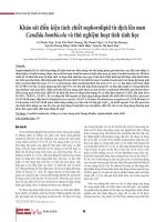 Khảo sát điều kiện tách chiết sophorolipid từ dịch lên men Candida bombicola và thử nghiệm hoạt tính sinh học