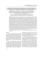 Thiết kế vector biểu hiện pCB301-Xbxs14-ELP và biểu hiện gen Xbxs14 mã hóa xylan 1,4-beta xylosidase từ vi sinh vật ruột mối coptotermes gestroi trong cây thuốc lá Nicotiana benthamiana