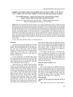 Nghiên cứu khả năng tách chiết dầu từ bã cà phê và sử dụng bã cà phê làm cơ chất trồng nấm linh chi (Ganoderma lucidum)