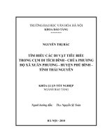 Khóa luận tốt nghiệp ngành Bảo tàng: Tìm hiểu các di vật tiêu biểu trong cụm di tích đình -  chùa Phương Độ xã Xuân Phương -  huyện Phú Bình  - tỉnh Thái Nguyên