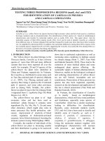 Testing three proposed DNA regions (matK, rbcL and ITS2) for identification of camellia euphlebia and camellia chrysantha