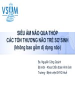 Bài giảng Siêu âm não qua thóp các tổn thương não trẻ sơ sinh (Không bao gồm dị dạng não) - BS. Nguyễn Công Quỳnh