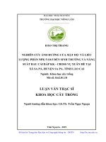 Nghiên cứu ảnh hưởng của mật độ và liều lượng phân NPK 5103 đến sinh trưởng và năng suất rau cải bắp KK   cross vụ xuân hè tại xã sa pả, huyện sa pa, tỉnh lào ca 