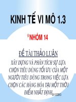Đề tài: Xây dựng và phân tích sự lựa chọn tiêu dùng tối ưu của một người tiêu dùng trong việc lựa chọn các hàng hóa tại một thời điểm nhất định