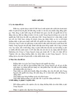 Báo cáo: Nghiên cứu xây dựng thương hiệu cho nhãn hiệu cà phê Trung Nguyên