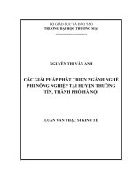 luận văn thạc sĩ các giải pháp phát triển ngành nghề phi nông nghiệp tại huyện thường tín, thành phố hà nội 