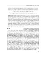 Tối ưu hóa thành phần môi trường tạo khí Hydro sinh học của chủng vi khuẩn kị khí Thermoanaerobacterium Aciditolerans Trau Dat phân lập tại Việt Nam bằng phương pháp đáp ứng bề mặt (RSM)