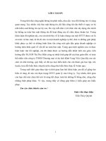 Một số giải pháp nâng cao tính an toàn bảo mật hệ thống thông tin trong công ty TNHH thương mại và du lịch khát vọng việt 