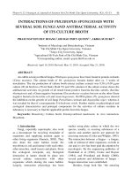 Interactions of Phlebopus Spongiosus with several soil fungi and antibacterial activity of its culture broth