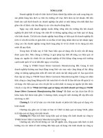 Phân tích hiệu quả sử dụng vốn kinh doanh tại công ty TNHH smart shirts garments manufacturing bắc giangư 