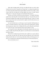 Giải pháp phát triển hoạt động marketing trực tuyến của công ty cổ phần tulog 