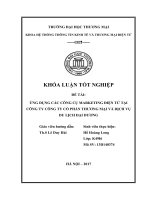 Ứng dụng các công cụ marketing điện tử tại công ty công ty cổ phần thƣơng mại và dịch vụ du lịch đại dƣơng 