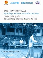 Đánh giá thực trạng hệ thống chăm sóc sức khỏe tâm thần thuộc quản lý của Bộ Lao Động Thương Binh và Xã Hội