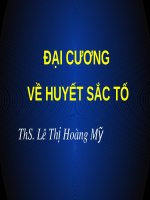 Bài giảng Đại cương về huyết sắc tố - ThS. Lê Thị Hoàng Mỹ