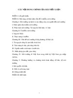 Bài tiểu luận: Ô nhiễm môi trường tại tỉnh Đăk Lăk