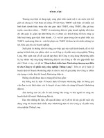 Hoạch định chiến lƣợc marketing thƣơng mại điện tử cho công ty cổ phần máy công nghiệp thăng long 