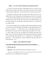 Bài tiểu luận: Nghiên cứu số tự nhiên trong sách giáo khoa tiểu học