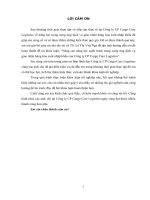 Nâng cao năng lực cạnh tranh trong cung ứng dịch vụ giao nhận hàng hóa xuất nhập khẩu của công ty CP cargo care logistics 