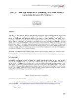 Country of origin, brand image and brand loyalty of branded drugs in Ho Chi Minh city, Vietnam