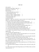 Hoàn thiện tổ chức đãi ngộ nhân lực tại CTCP đầu tư dịch vụ du lịch việt nam, hà nội 