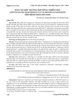 Báo cáo một trường hợp đồng nhiễm nấm Cryptococcus neoformans và Talaromyces marneffei trên bệnh nhân HIV/AIDS