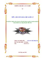 Tiểu luận Khoa học quản lý: Nghiên cứu công tác tổ chức bộ máy quản lý tại ban quản lý dự án đầu tư xây dựng huyện Cẩm Khê