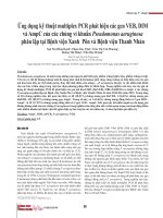 Ứng dụng kỹ thuật multiplex PCR phát hiện các gen VEB, DIM và AmpC của các chủng vi khuẩn Pseudomonas aeruginosa phân lập tại Bệnh viện Xanh Pôn và Bệnh viện Thanh Nhàn