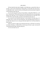 Giải pháp marketing mix nhằm phát triển thị trường  của công ty cổ phần đầu tư mở   du lịch việt nam 