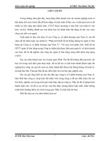 Phân tích thiết kế hệ thống thông tin quản lý bán hàng tại công ty cổ phần thƣơng mại nam á 